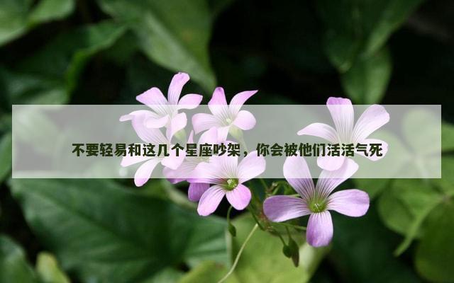 不要轻易和这几个星座吵架，你会被他们活活气死