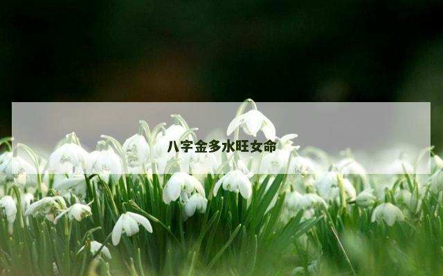 八字金多水旺女命