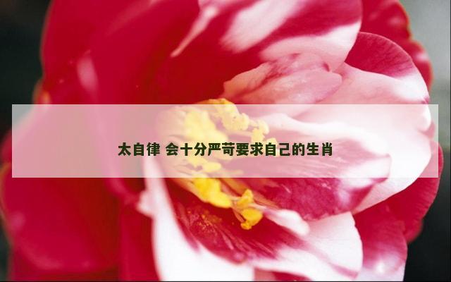 太自律 会十分严苛要求自己的生肖