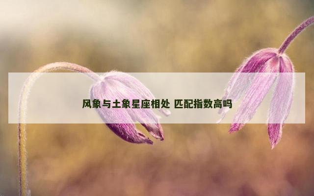 风象与土象星座相处 匹配指数高吗