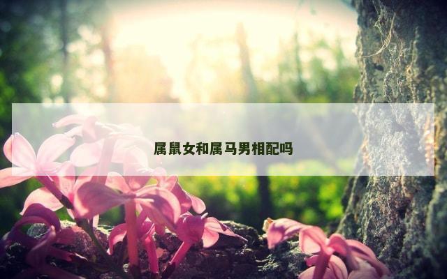 属鼠女和属马男相配吗