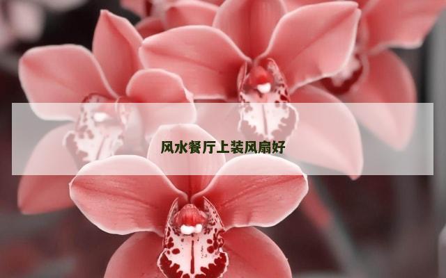 风水餐厅上装风扇好