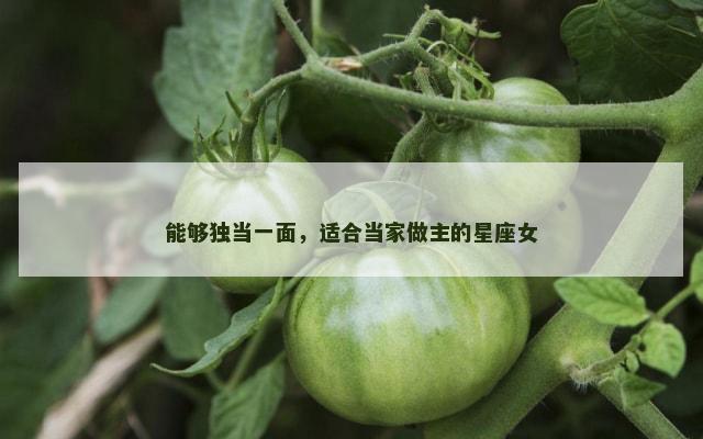能够独当一面，适合当家做主的星座女