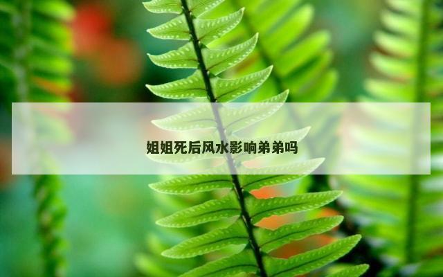 姐姐死后风水影响弟弟吗