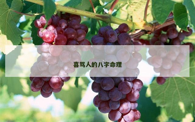 喜骂人的八字命理