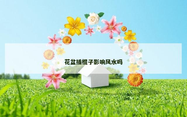 花盆插棍子影响风水吗
