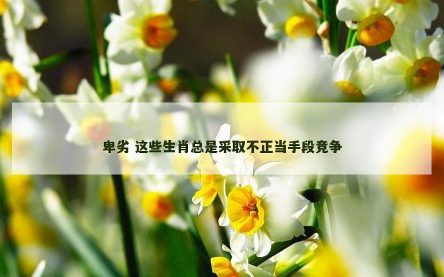 卑劣 这些生肖总是采取不正当手段竞争