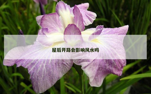 屋后开路会影响风水吗
