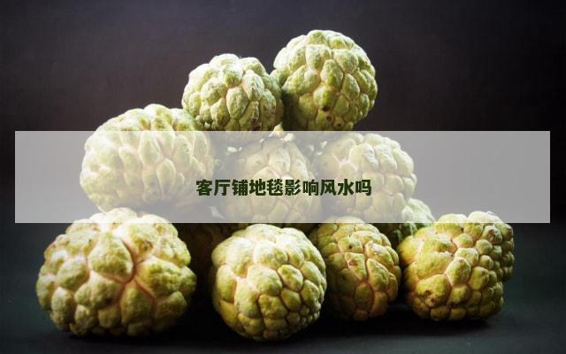 客厅铺地毯影响风水吗
