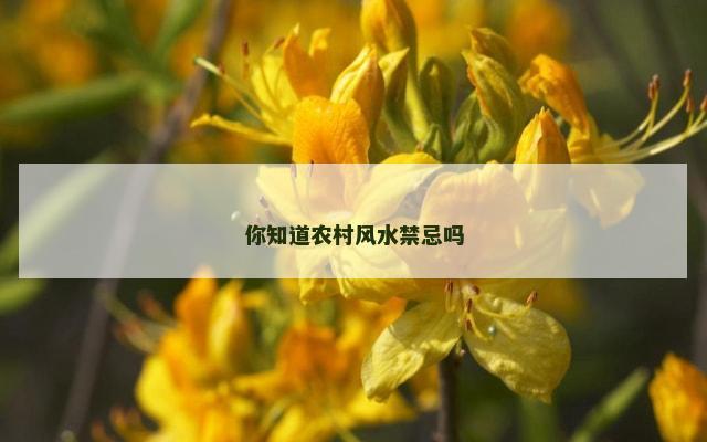 你知道农村风水禁忌吗