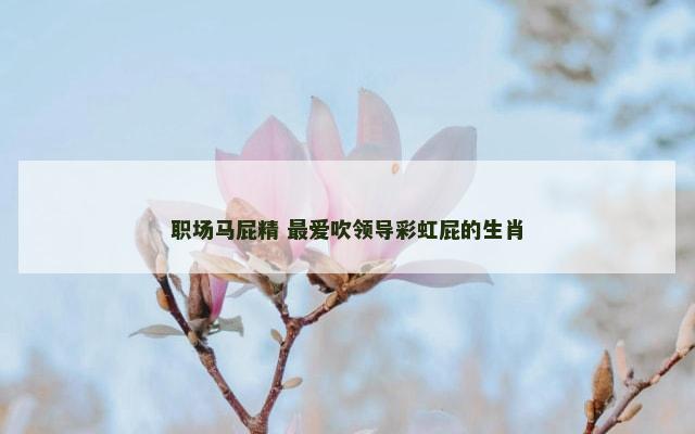 职场马屁精 最爱吹领导彩虹屁的生肖