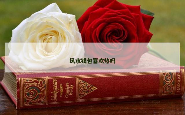 风水钱包喜欢热吗