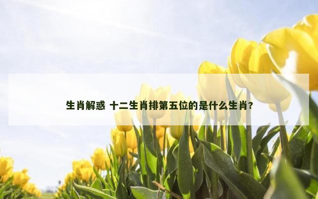 生肖解惑 十二生肖排第五位的是什么生肖?