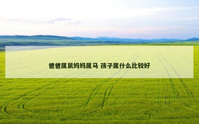 爸爸属鼠妈妈属马 孩子属什么比较好