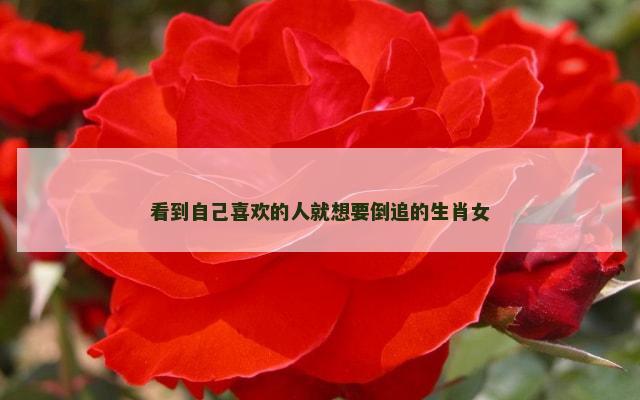 看到自己喜欢的人就想要倒追的生肖女
