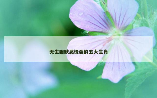 天生幽默感极强的五大生肖