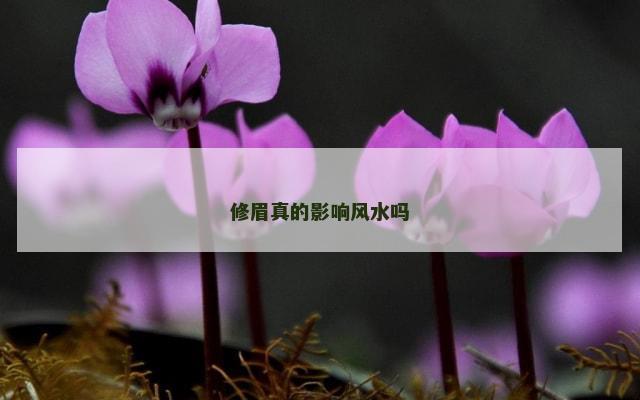 修眉真的影响风水吗
