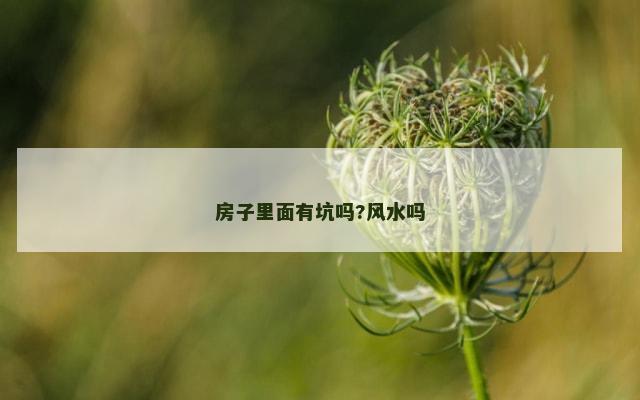 房子里面有坑吗?风水吗