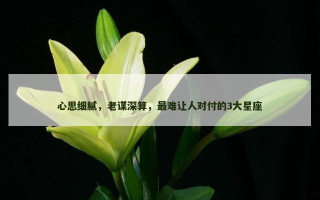 心思细腻，老谋深算，最难让人对付的3大星座