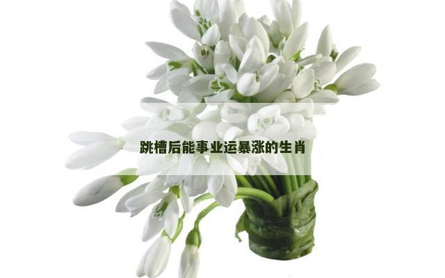 跳槽后能事业运暴涨的生肖