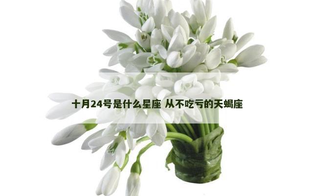 十月24号是什么星座 从不吃亏的天蝎座