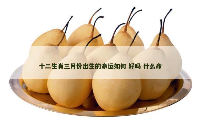 十二生肖三月份出生的命运如何 好吗 什么命