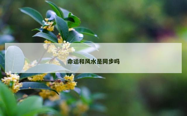 命运和风水是同步吗