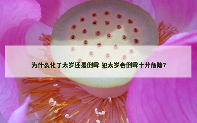 为什么化了太岁还是倒霉 犯太岁会倒霉十分危险？