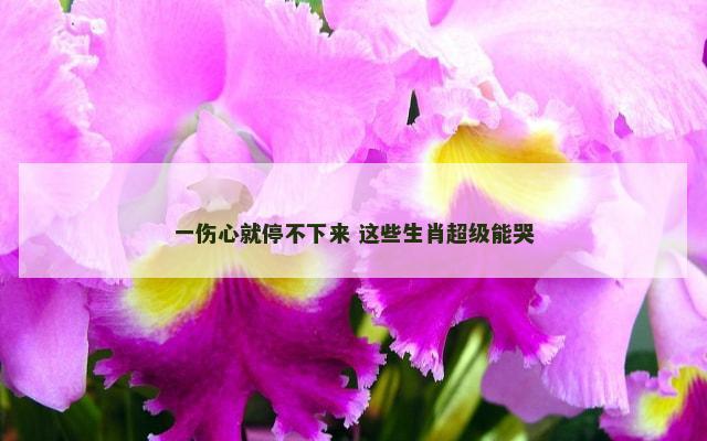 一伤心就停不下来 这些生肖超级能哭