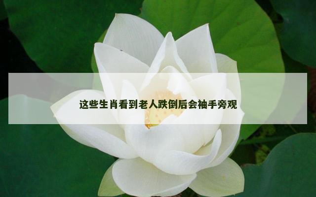 这些生肖看到老人跌倒后会袖手旁观