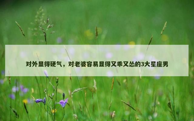 对外显得硬气，对老婆容易显得又乖又怂的3大星座男