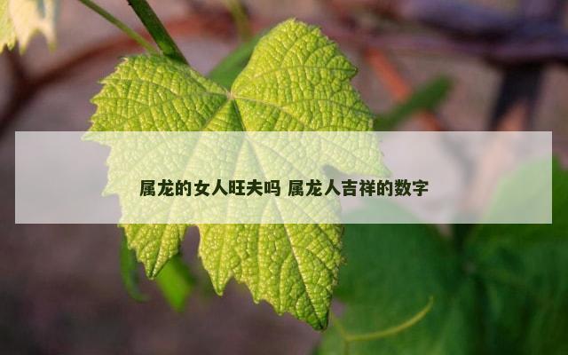属龙的女人旺夫吗 属龙人吉祥的数字