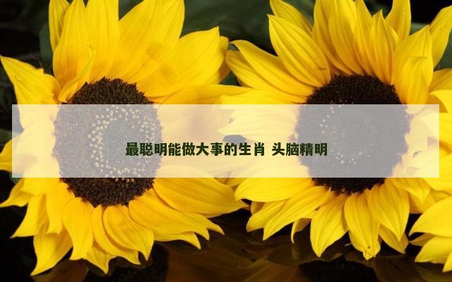 最聪明能做大事的生肖 头脑精明