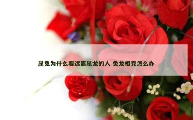 属兔为什么要远离属龙的人 兔龙相克怎么办