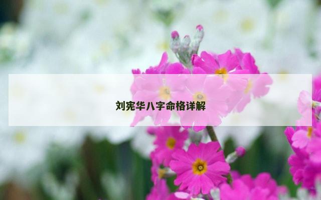 刘宪华八字命格详解