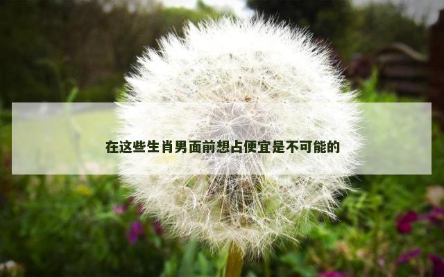 在这些生肖男面前想占便宜是不可能的