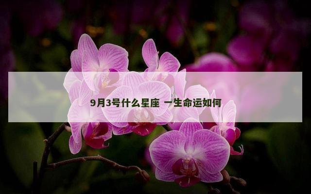 9月3号什么星座 一生命运如何