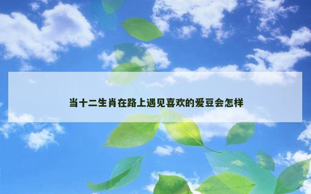 当十二生肖在路上遇见喜欢的爱豆会怎样