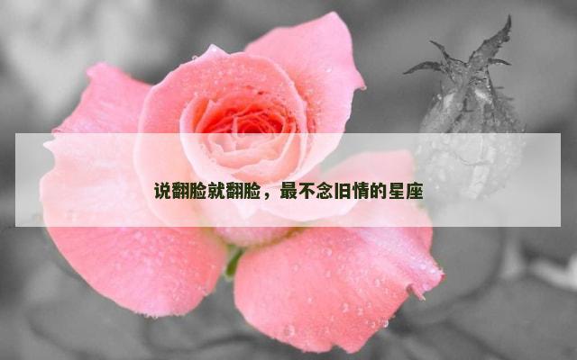 说翻脸就翻脸，最不念旧情的星座