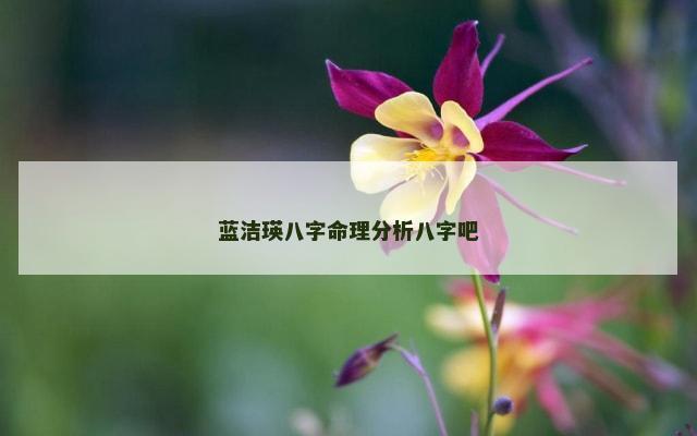 蓝洁瑛八字命理分析八字吧
