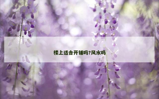 楼上适合开铺吗?风水吗