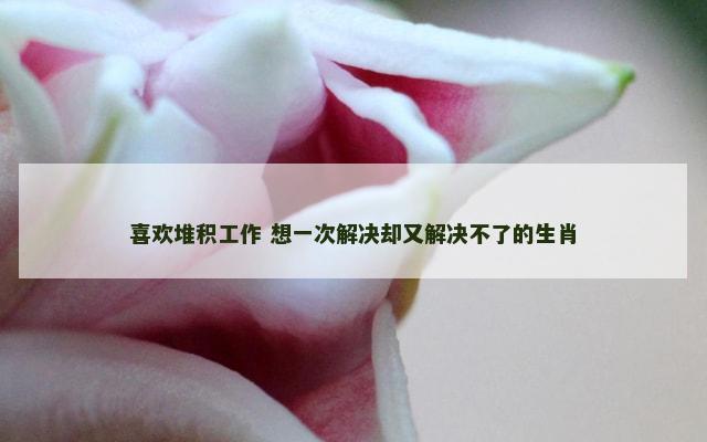 喜欢堆积工作 想一次解决却又解决不了的生肖