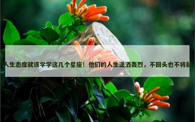 人生态度就该学学这几个星座！他们的人生潇洒轰烈，不回头也不将就