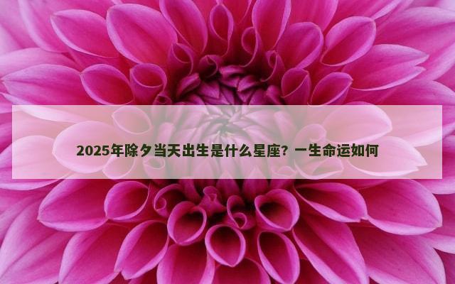 2025年除夕当天出生是什么星座? 一生命运如何