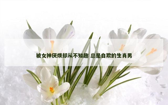被女神厌烦却从不知趣 总是自欺的生肖男