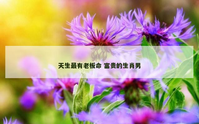 天生最有老板命 富贵的生肖男