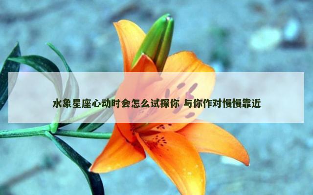 水象星座心动时会怎么试探你 与你作对慢慢靠近