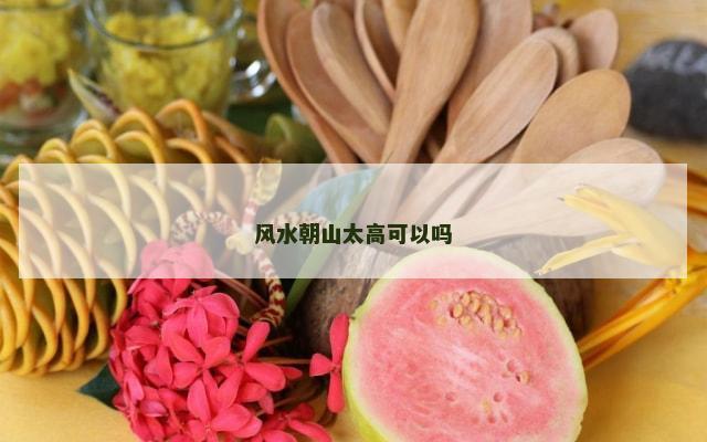 风水朝山太高可以吗