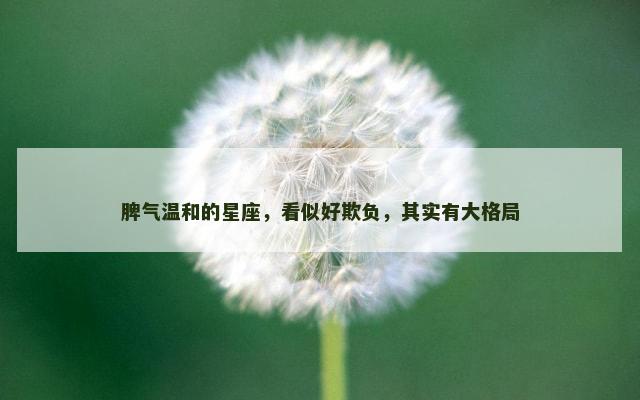 脾气温和的星座，看似好欺负，其实有大格局