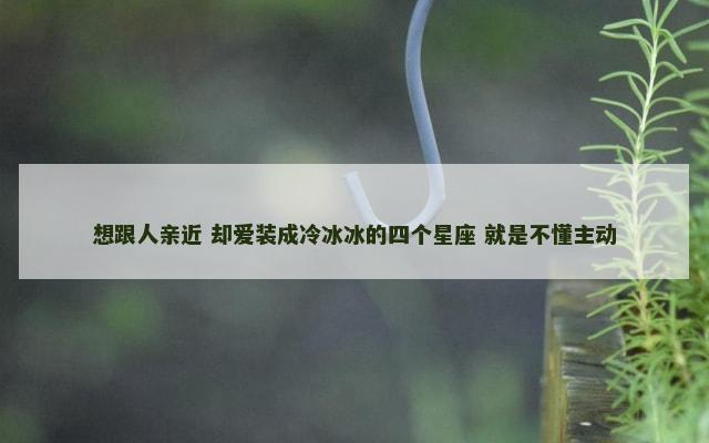 想跟人亲近 却爱装成冷冰冰的四个星座 就是不懂主动